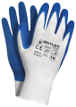 GNYLEX_A_1000px.png