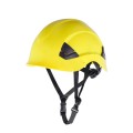 SALLET-zolty.jpg